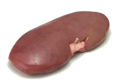 Rinichi de porc