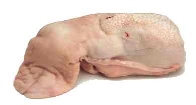Limbă de porc