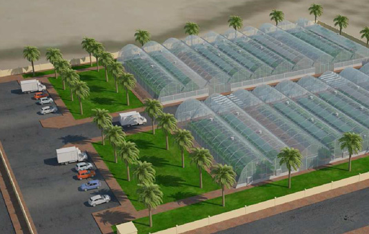 Sere/solarii - Design & Proiectare