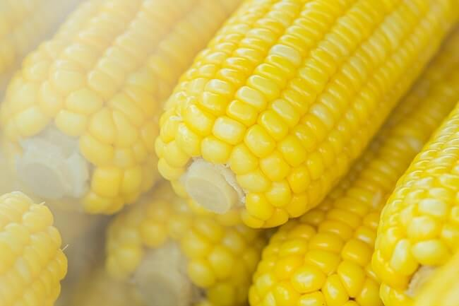 Sweet corn