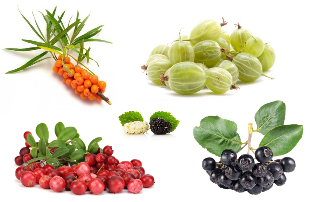 Other fruits