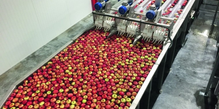 Industria conservelor din legume, fructe si a sucurilor naturale
