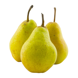Conference pears