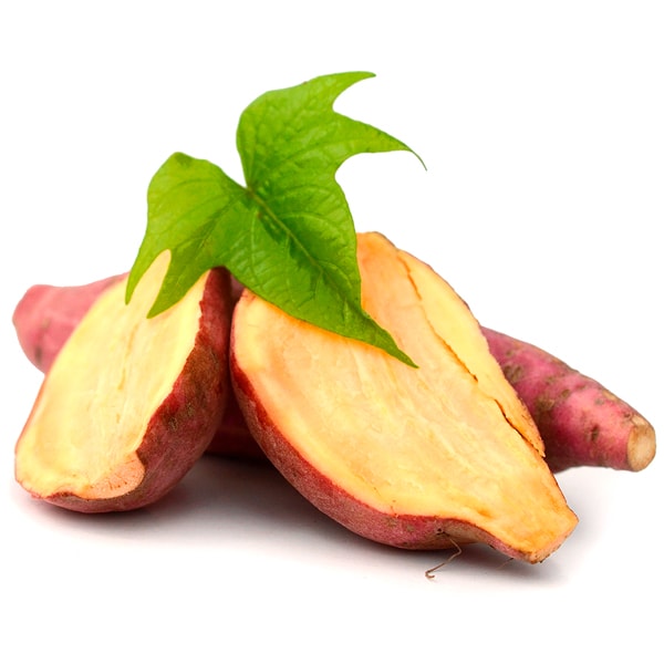 SMALLANTHUS<br /><span>Yacon</span>