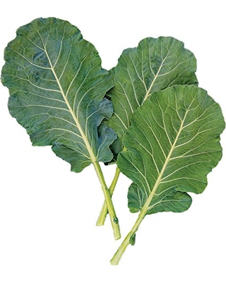 BRASSICA<br /><span>Varză Bedford/Tronchuda</span>