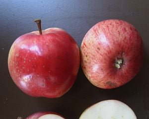 Stark Apples