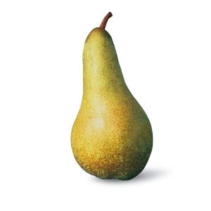 Abate Pears