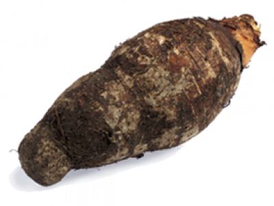 COLOCASIA<br /><span>Cocoyam</span>