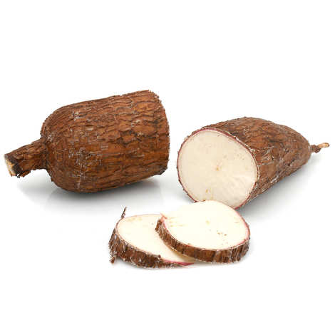 MANIHOT<br /><span>Manioc/Cassava</span>