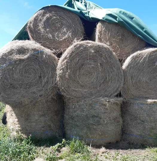 Fân, baloți rotunzi