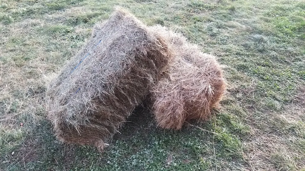 Fân, baloți