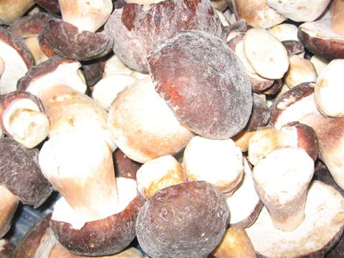 CIUPERCI CONGELATE