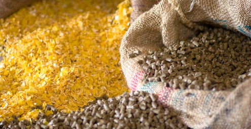 Premix for livestock and poultry