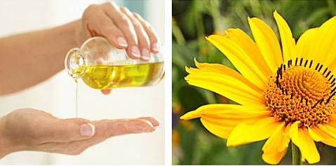 Arnica oil