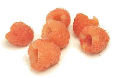 Golden raspberry