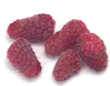 Loganberry