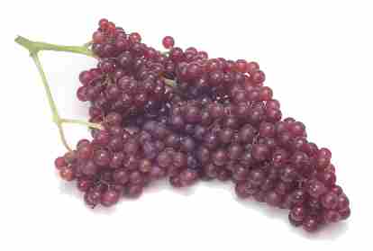 Zante grapes