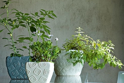 Vase pentru plante