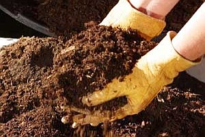 Fertilizatori naturali