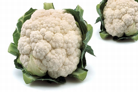 BRASSICA<br /><span>Conopidă</span>
