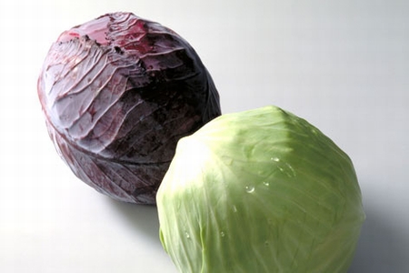 Cabbage