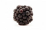 Blackberry