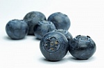 Huckleberry, cultivated