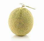 Cantaloupe Melon
