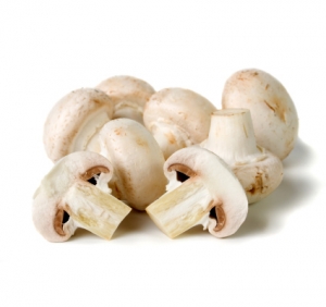 AGARICUS (CIUPERCI ALBE)