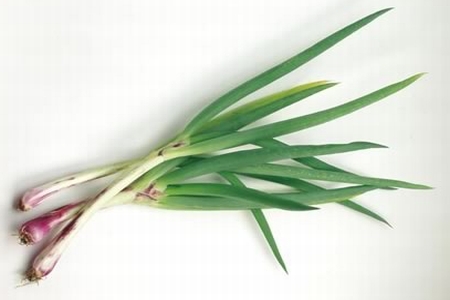 ALLIUM<br /><span>Spring Onions</span>