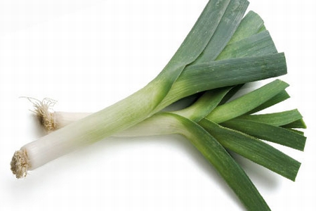 ALLIUM<br /><span>Leek</span>