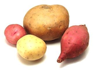 Tubers and Corms