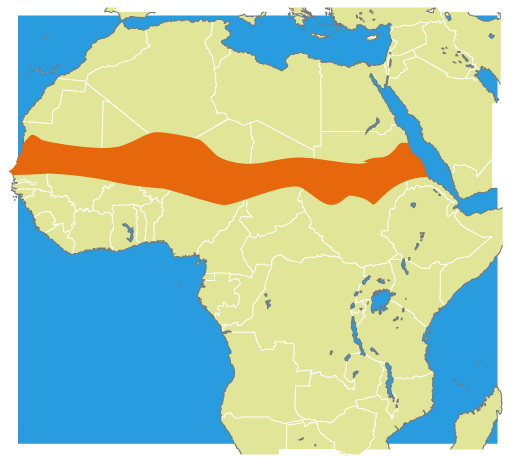 Зона сахель страны. Сахель Африка. Зона Сахеля. Сахельская зона в Африке. Сахара Сахель.
