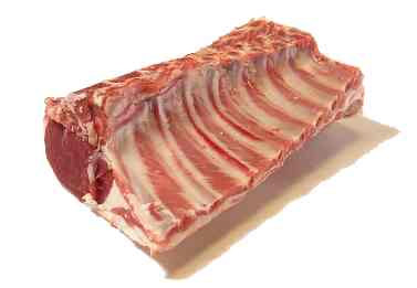 LAMB