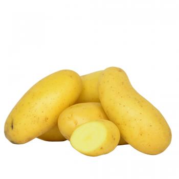 WHITE POTATOES