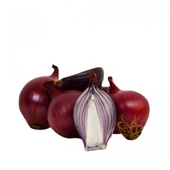 ALLIUM<br /><span>Red Onion</span>