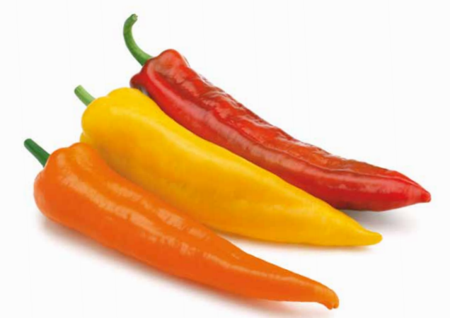 CAPSICUM<br /><span>Ardei Lung</span>