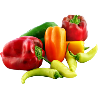 Pepper