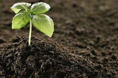 AGRONUTRIENŢI