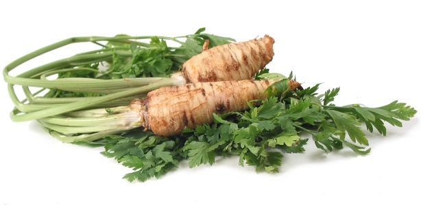 PETROSELINUM<br /><span>Parsley</span>