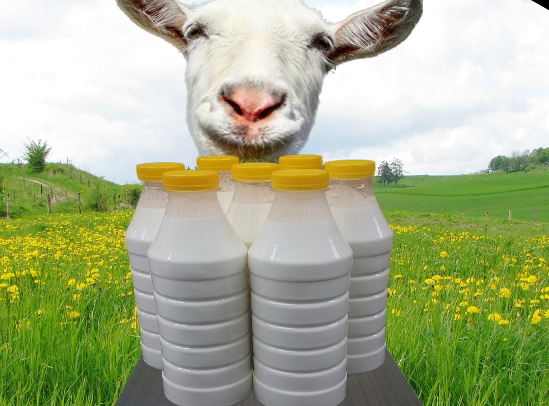 Raw milk