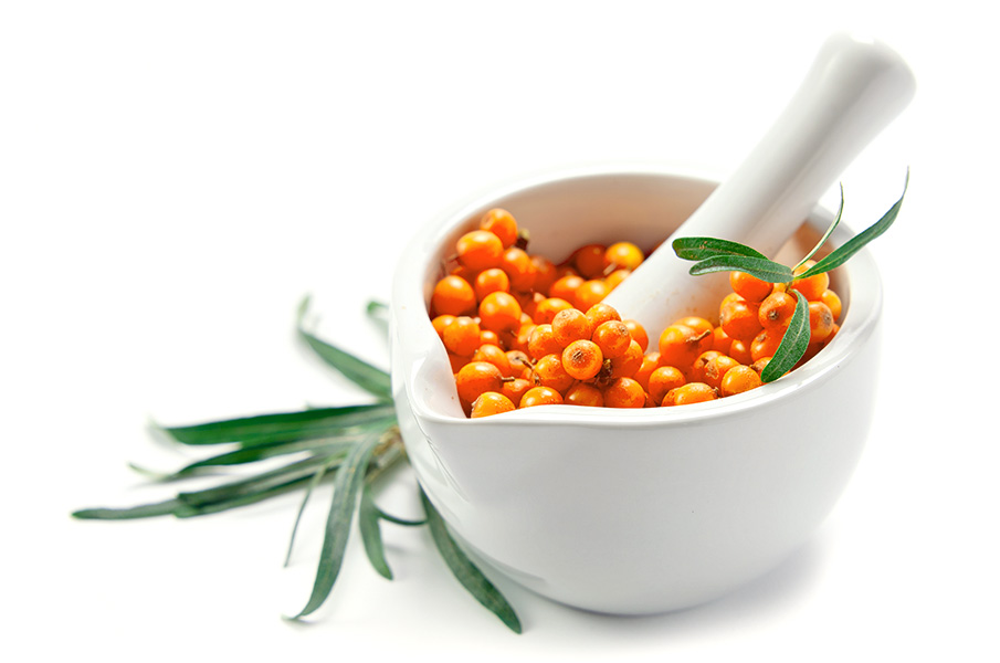 SEA BUCKTHORN, FRESH