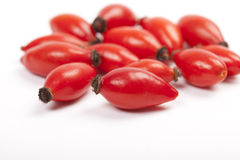 DOG ROSE FRUITS