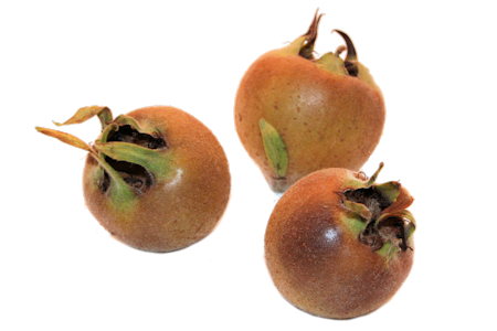 MEDLARS