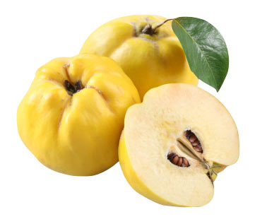 QUINCES