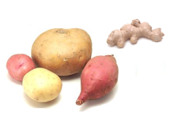 Vegatables with edibles Bulbs and Tubers