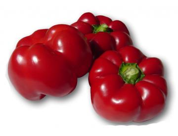 CAPSICUM<br /><span>Ardei Gogoşar</span>