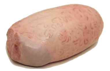 Testicule