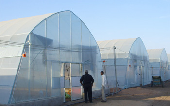 Solarii şi tunele