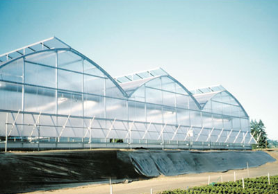 Solarii comerciale